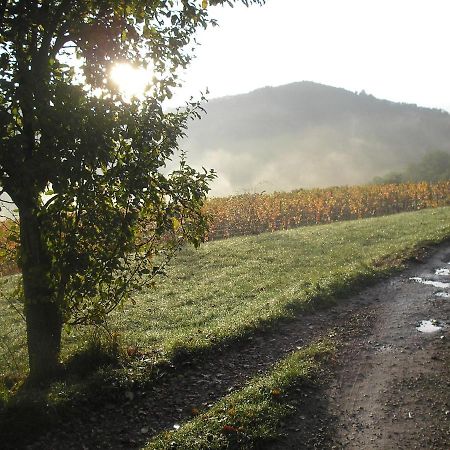Grange Renovee En Pleine Nature Valady Екстер'єр фото