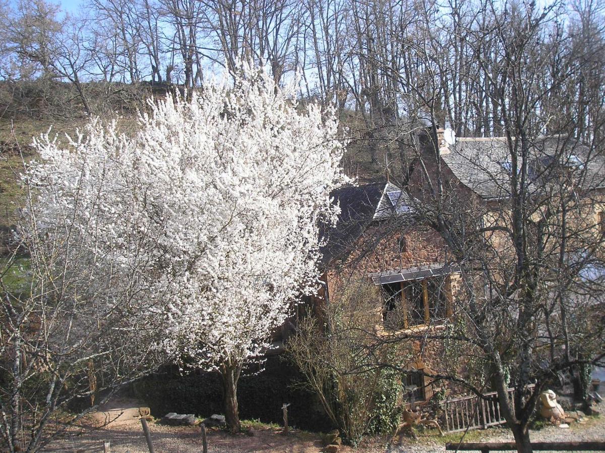 Grange Renovee En Pleine Nature Valady Екстер'єр фото