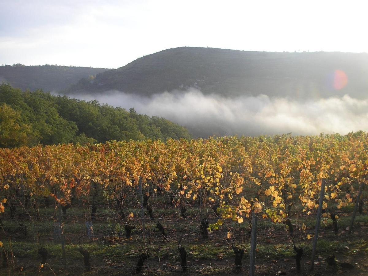 Grange Renovee En Pleine Nature Valady Екстер'єр фото