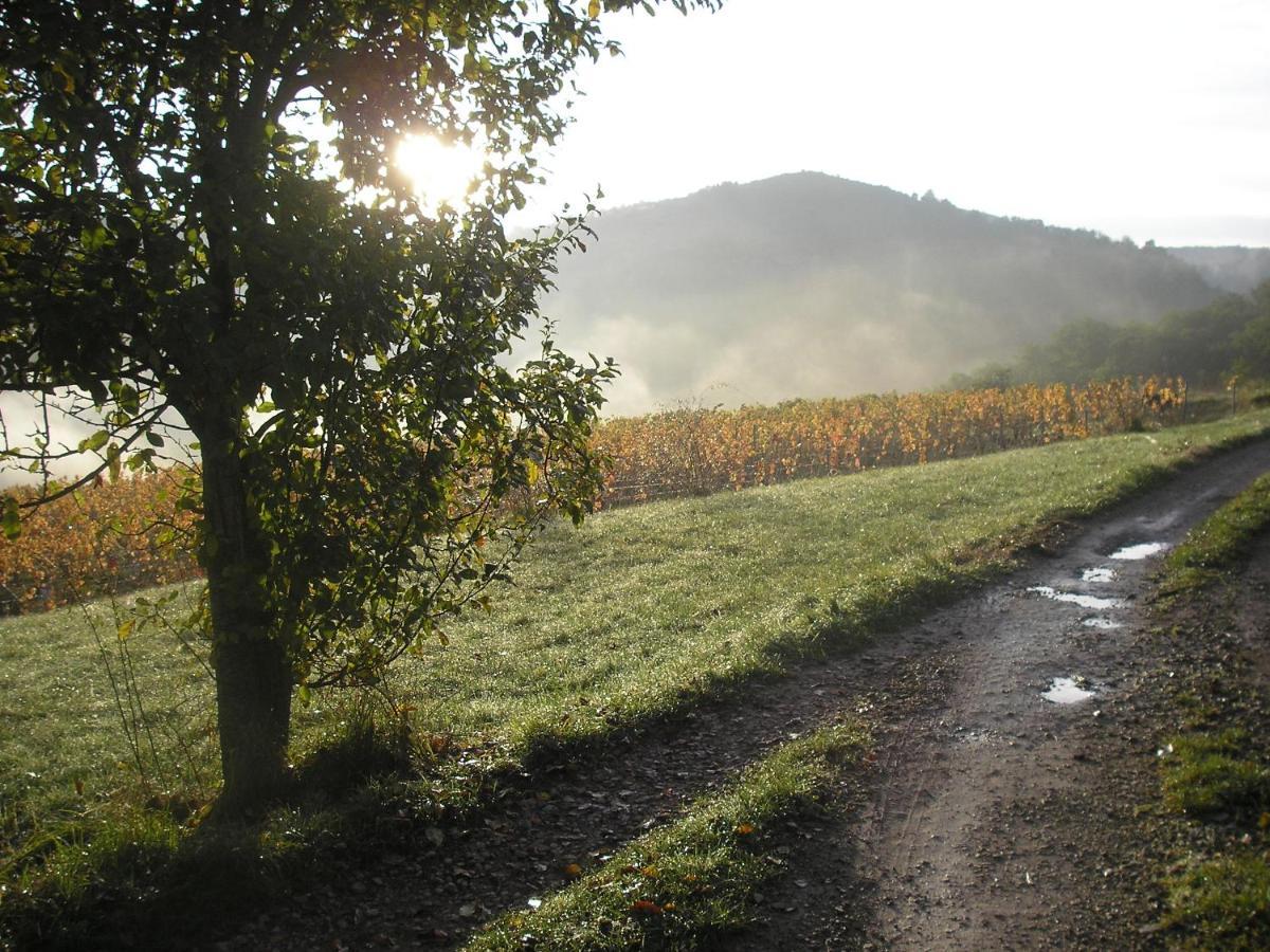 Grange Renovee En Pleine Nature Valady Екстер'єр фото